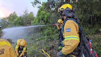 Restringen acceso vehicular en zonas