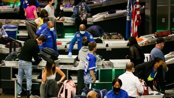 Vibradores, marihuana, plantas y guacamole: