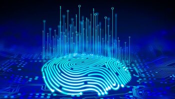 Rubros como el bancario o