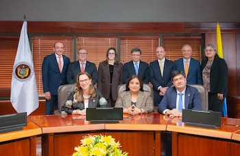 La Cámara deberá presentar posteriormente ante la Corte Constitucional un informe acompañado de las actas de plenaria y demás documentos que acrediten el cumplimiento del trámite de subsanación - crédito Corte Constitucional