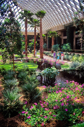 Longwood Gardens avanza en programas