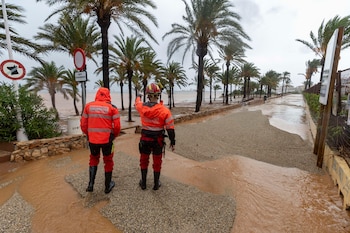 Efectivos de Bomberos, Protección Civil