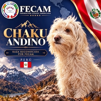 Perro de pelaje blanco frente a un paisaje de montañas, acompañado por el texto Chaku Andino, logos y la bandera de Perú.