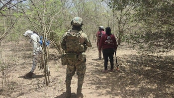 Madres buscadoras localizan cuerpos de mujeres desaparecidas en Mazatlán, Sinaloa