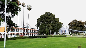 El árbol del Tule fue