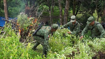 Un municipio de Chiapas fue