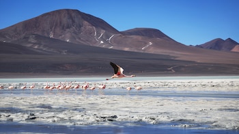 La Laguna Brava, en La