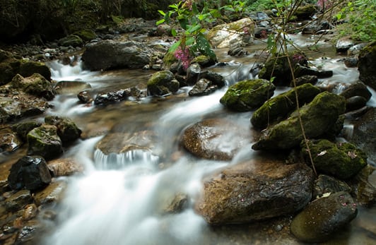 La contribución económica se destina a la conservación, vigilancia y restauración de ecosistemas frágiles en las áreas protegidas. Crédito: Secretaría de Medio Ambiente y Recursos Naturales
