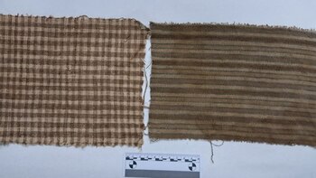 Todos los objetos fueron llevados