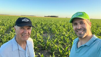 Los Castellanos, generaciones de campo