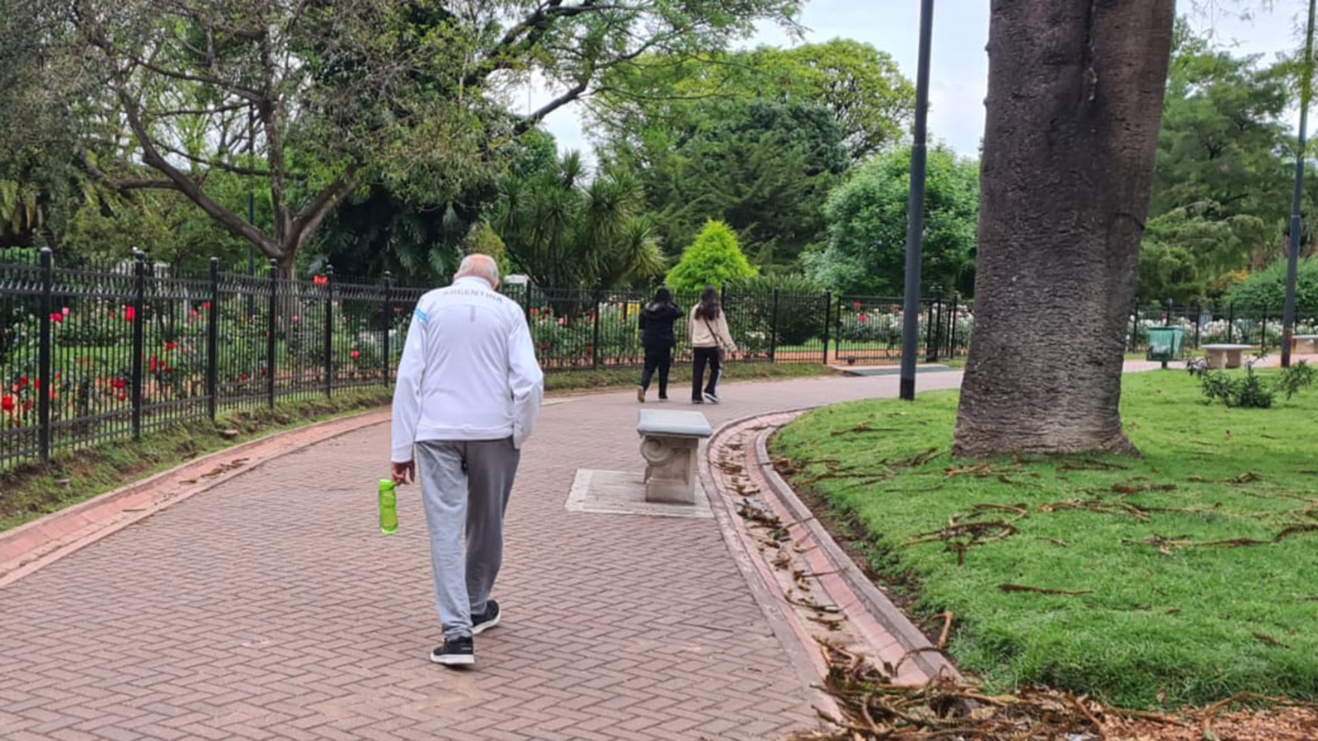 La caminata diaria es otro pilar del envejecimiento saludable