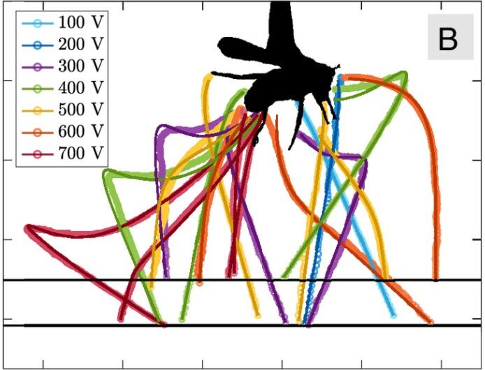 Científicos exploran el papel de fuerzas físicas invisibles en la ecología de los suelos (https://www.pnas.org/doi/10.1073/pnas.2503555122)