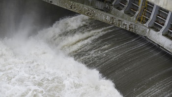 Los cauces de la demarcación