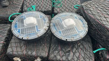 Ecuador intercepta 1.5 toneladas de droga que pretendían llegar a Centroamérica y México