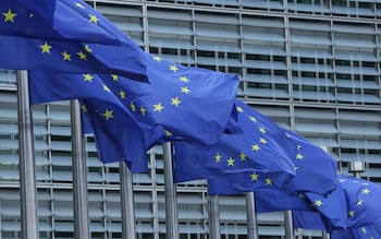 La actividad se enmarca en el trabajo de la Unión Europea con instituciones y organismos de cooperación para impulsar la empleabilidad e inserción laboral.