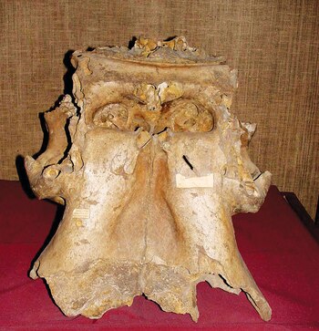 A photo provided by the