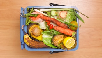 Las cáscaras de cítricos pueden