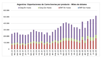 Exportaciones de carne vacuna argentina (enero 2024 - agosto 2026)