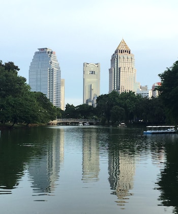 Desde la perspectiva de los