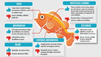 The recommendations of the Colombian