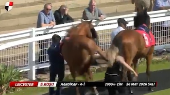 Un caballo de carreras de color marrón claro patea a una mujer que intenta controlarlo en una pista, con espectadores detrás de una valla blanca