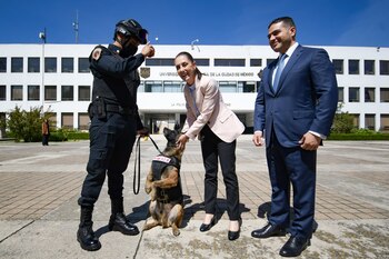 Sheinbaum celebró el Dia Mundial