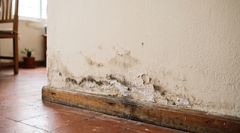 Pared de color claro con pintura descascarada y manchas oscuras cerca del zócalo de madera sobre piso de baldosas.