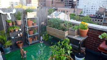 La tendencia de micro-huertos crece