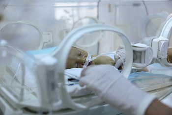 Los bebés prematuros reciben cuidados