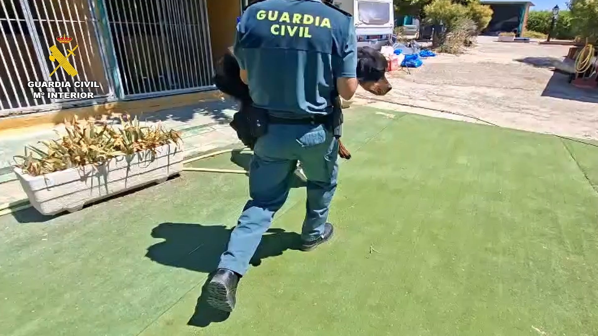 Un agente de la Guardia Civil saca a un perro de la escuela canina clausurada.(Guardia Civil)