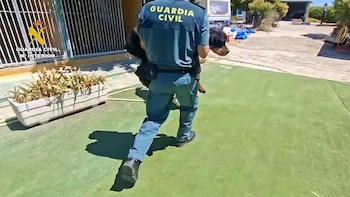 Perros sin comida ni agua y rodeados de parásitos: cierran una escuela canina en Navalcarnero (Madrid) por presunto maltrato animal