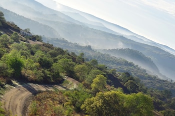 Camino de tierra curvo sobre la ladera de una montaña arbolada con neblina entre los cerros al fondo
