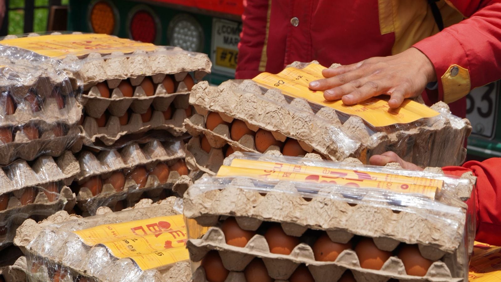 El Ministerio de Agricultura busca beneficiar a 70.000 familias en Colombia - crédito Minsiterio de Agricultura