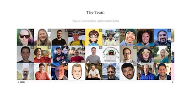 Página web con el título The Team y una cuadrícula con retratos fotográficos y dibujos de personas