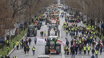 (AMP) El sector agrario tomará