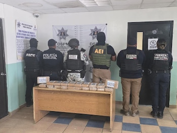 Também foram encontrados vários pacotes de medicamentos — Foto: SSC e Defesa