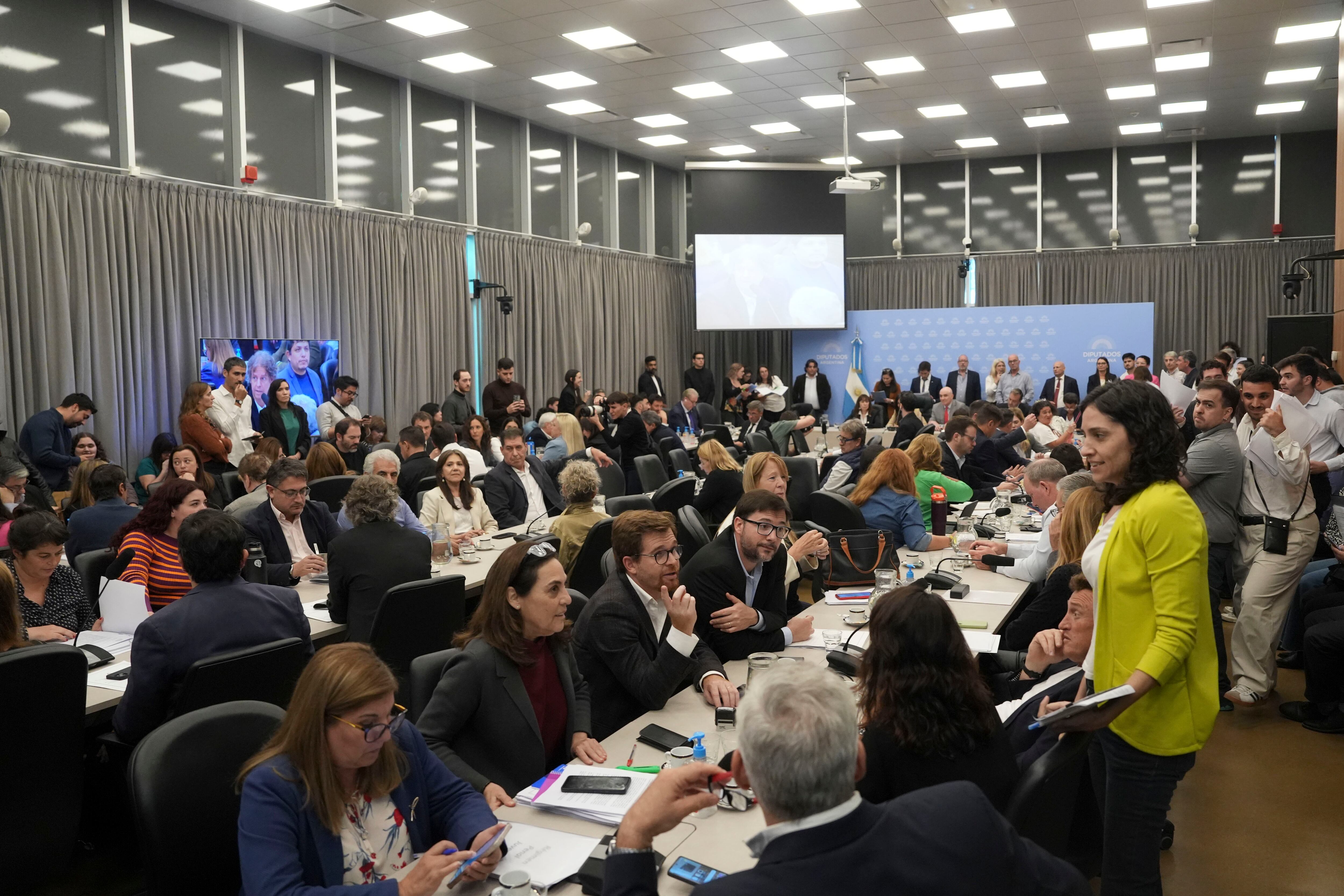 Debate de la ley de responsabilidad penal juvenil en el plenario de comisiones (Gentileza: Diputados.gov.ar)
