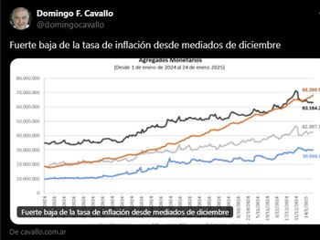 El tuit de Domingo Cavallo