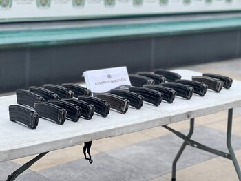 Los caninos Rocco y Milán