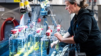 La combinación de técnicas avanzadas