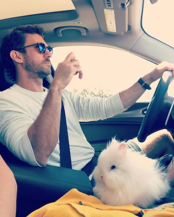 Louie Gibson, director de cine,