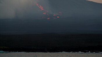 La lava de volcán La Cumbre, en Islas Galápagos, llega al mar tras 35 días en erupción