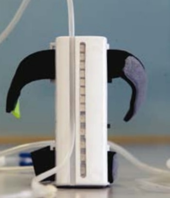 El brazalete combatir el miedo,