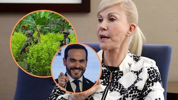 Gobernadora del Valle impulsa estrategia de sustitución de cultivos en el suroccidente colombiano