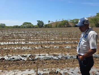 El PMA estima que al menos 500.000 personas más en Honduras podrían caer en inseguridad alimentaria por la falta de lluvias y el fenómeno de El Niño. (Oscar Ortiz)
