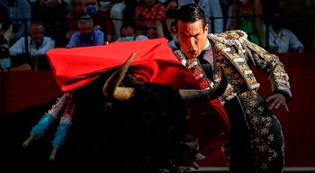 El diestro José Mari Manzanares