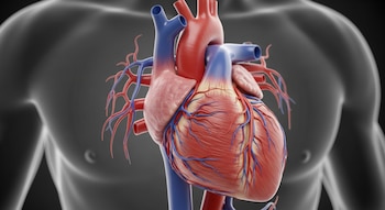 La desinformación sobre las estatinas