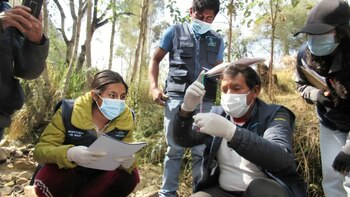 Especialistas como Raul Zibechi y