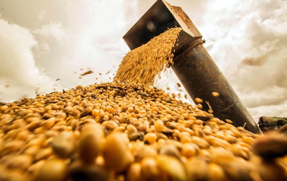 Los números del agro se han deteriorado, pero las retenciones no tienen en cuenta esta realidad(Revista Chacra)