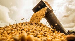 La oposición criticó las medidas del gobierno y las vinculó a una necesidad electoral